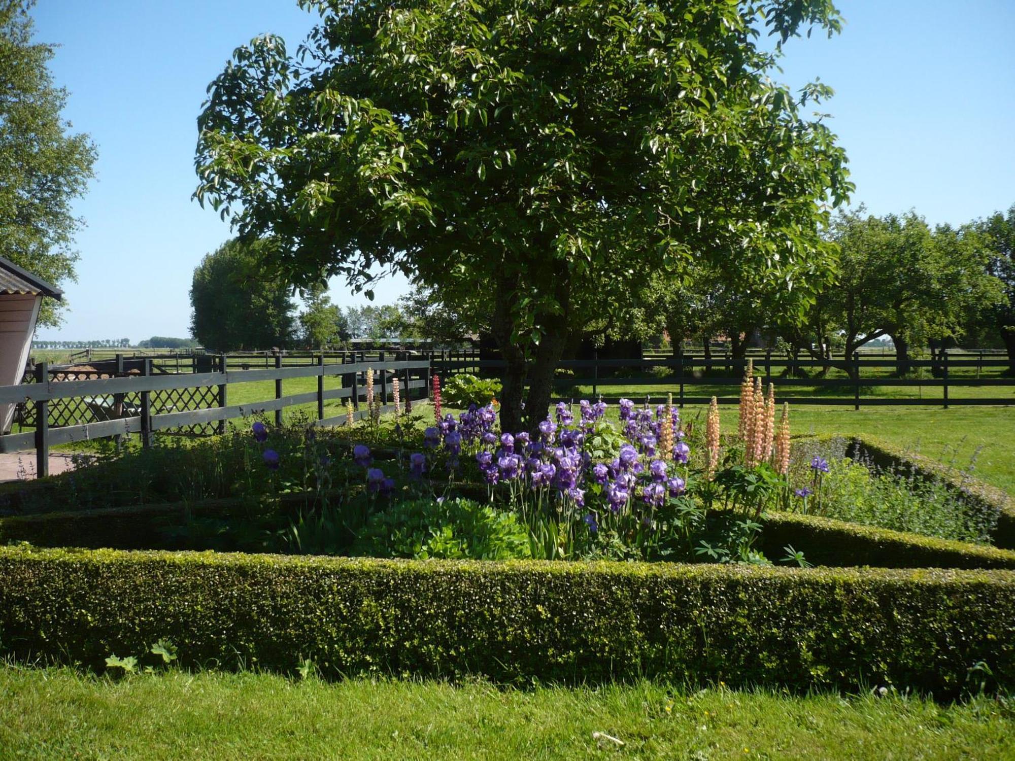 Bed & Breakfast Shepherds House 3*