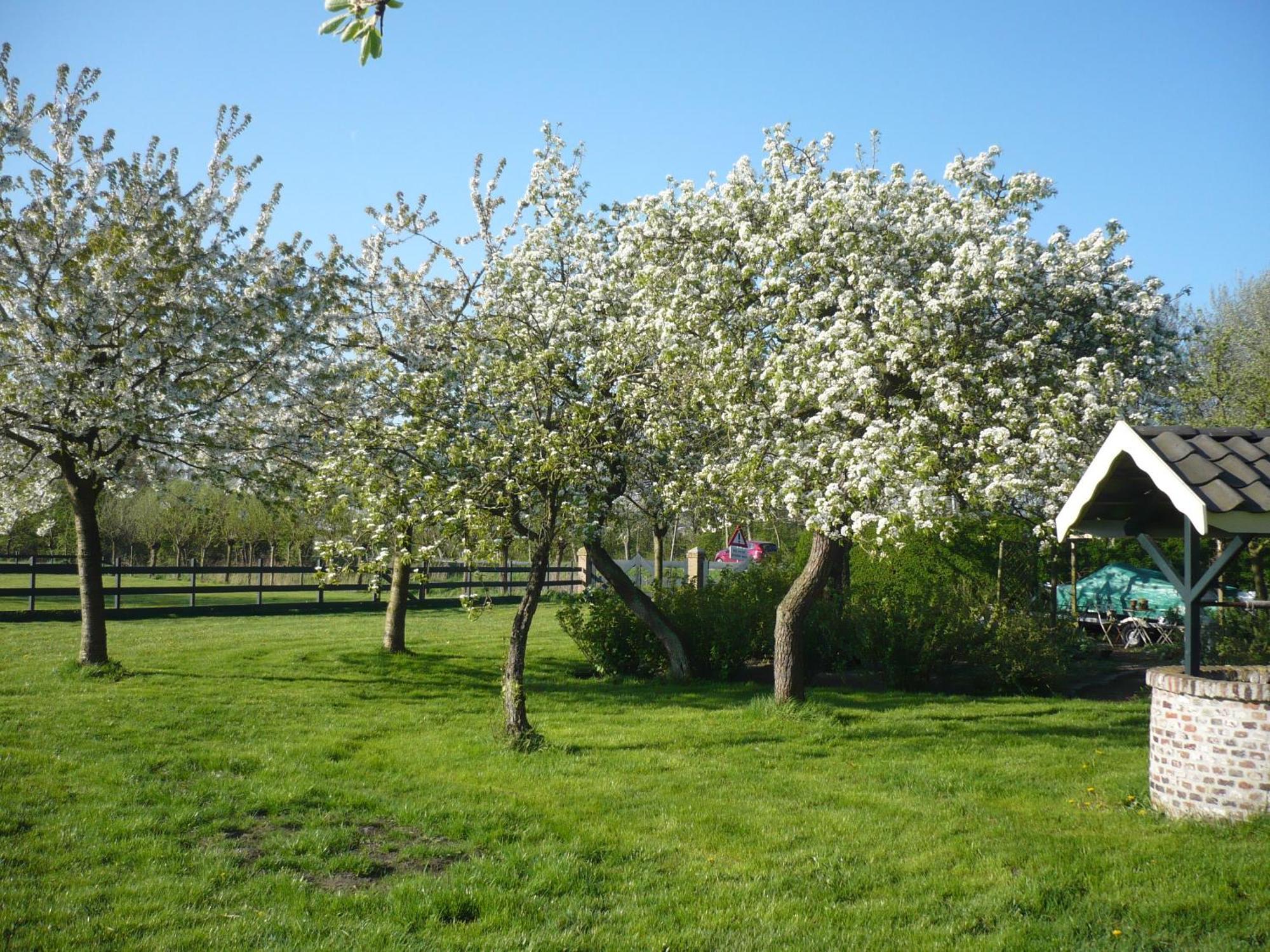 Bed & Breakfast Shepherds House Limmen